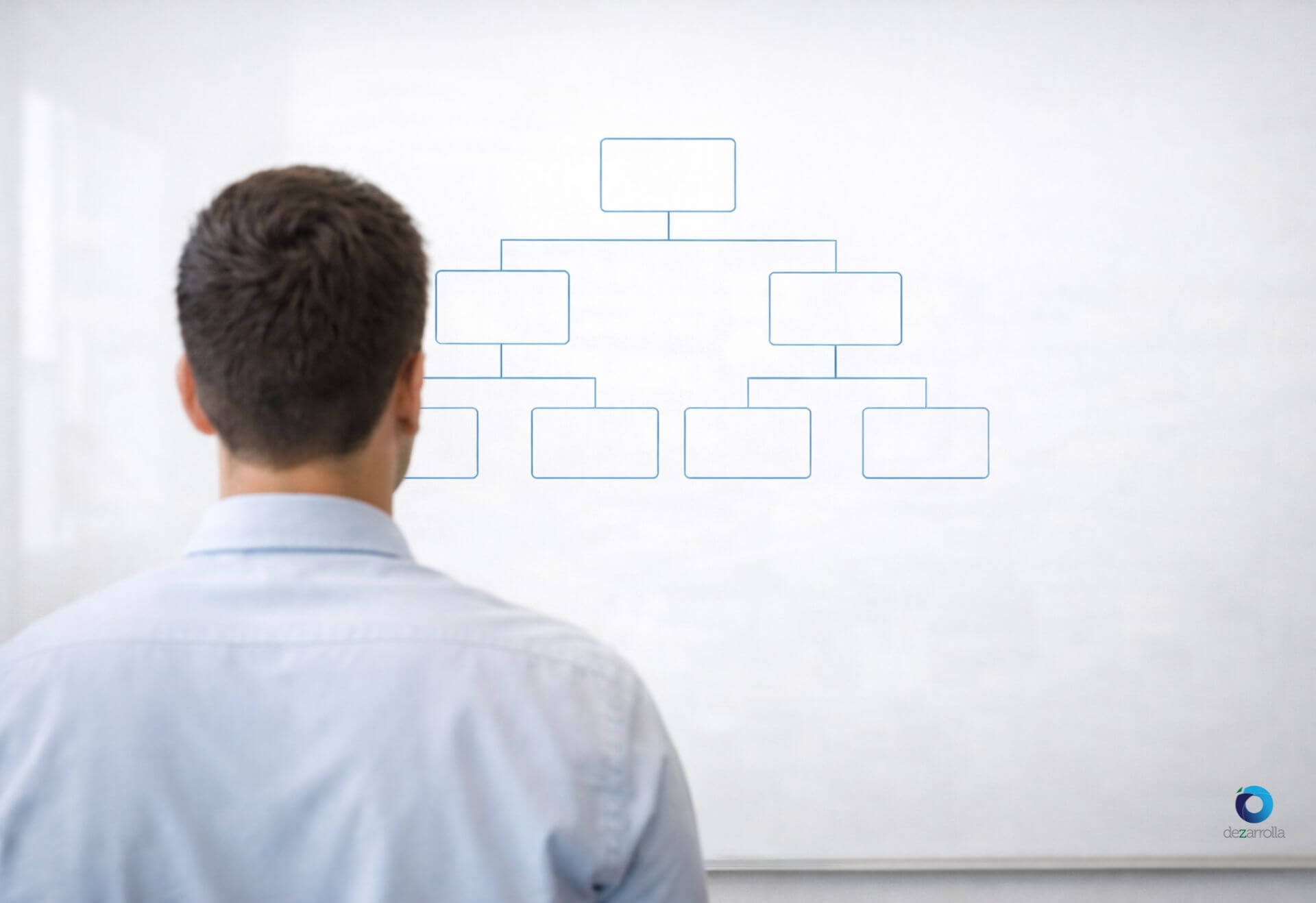 contratar desde cero